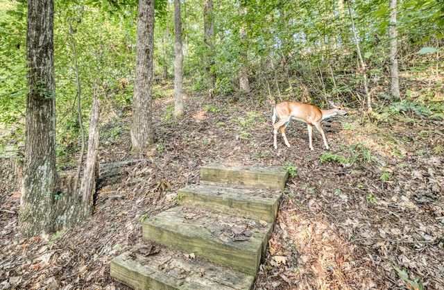 1447 Grandeur Drive, Blue Ridge, GA 30513