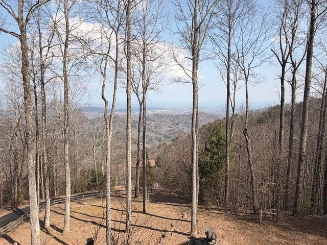 1447 Grandeur Drive, Blue Ridge, GA 30513