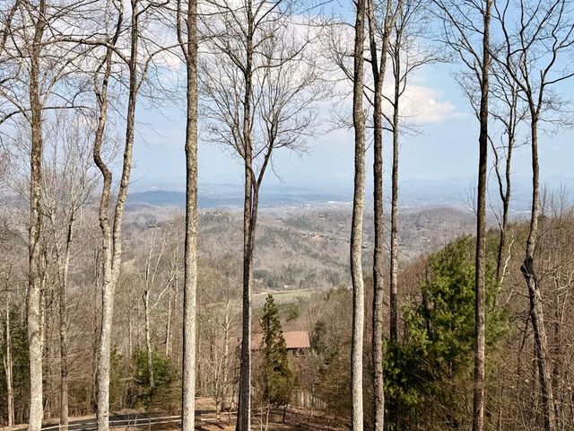 1447 Grandeur Drive, Blue Ridge, GA 30513