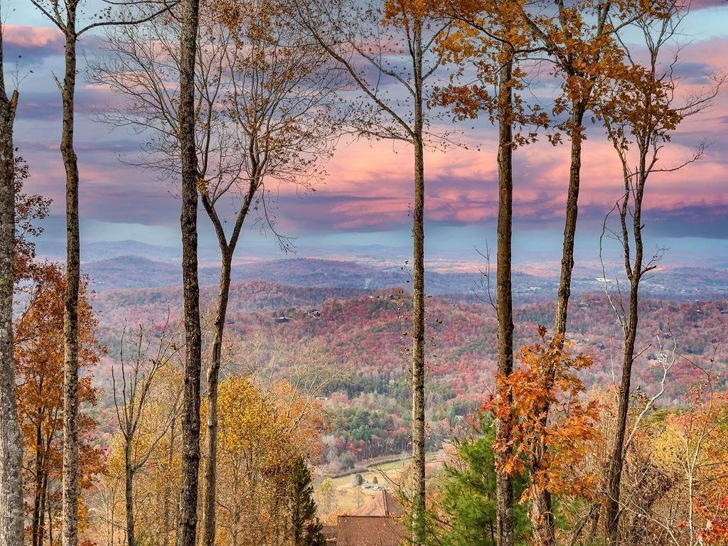 1447 Grandeur Drive, Blue Ridge, GA 30513