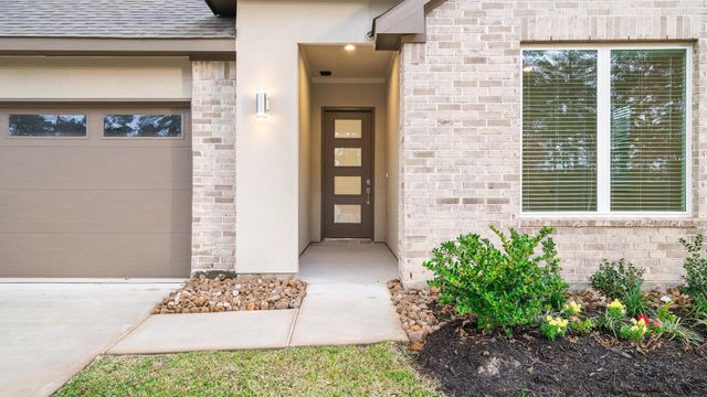 13329 Big Sky Court, Conroe, TX 77384