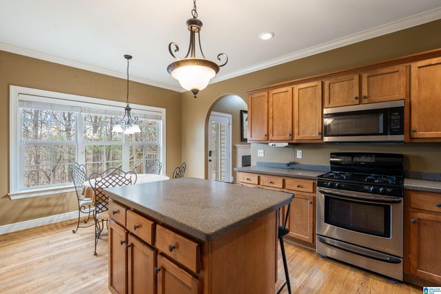 321 DEER RIDGE LANE, Chelsea, AL 35043