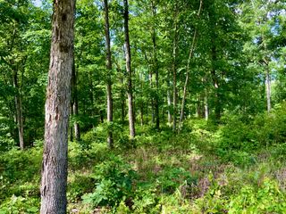 0 Bear Creek Road, Waverly, TN 37185