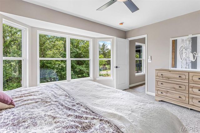 758 Blake Drive, Hillsboro, MO 63050