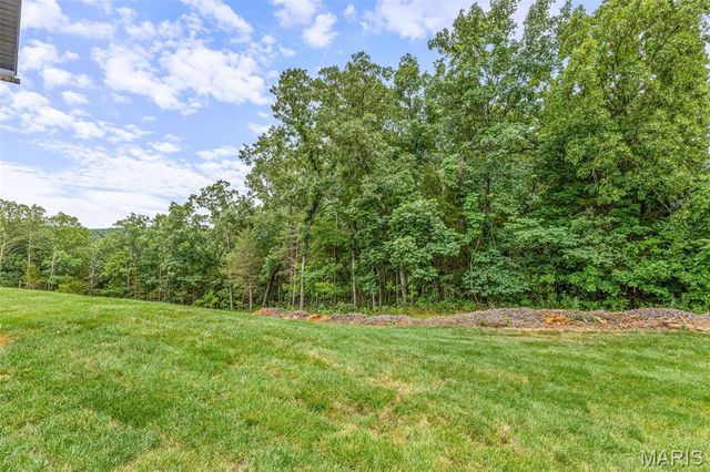 758 Blake Drive, Hillsboro, MO 63050