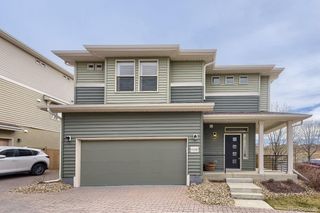 4108 Elegant Street, Castle Rock, CO 80109