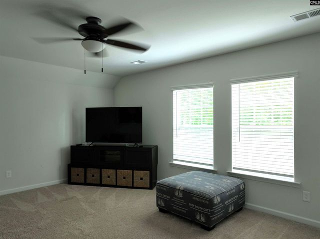 343 Limestone Road, Chapin, SC 29036