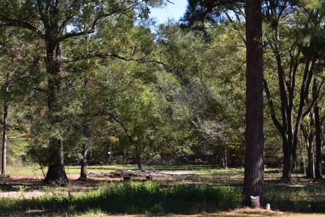 1100 Chipper Lane, Keithville, LA 71047