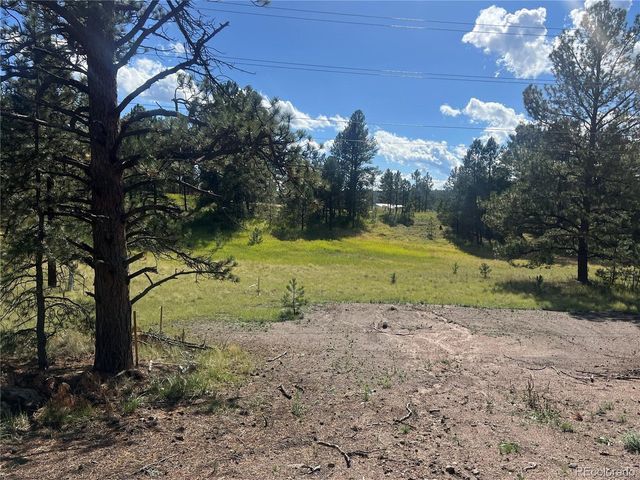240 N Mountain Estates Rd, Florissant, CO 80816