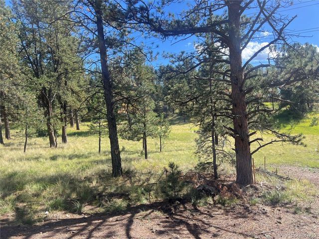 240 N Mountain Estates Rd, Florissant, CO 80816