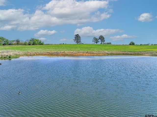 973 County Road 1604, Grand Saline, TX 75140