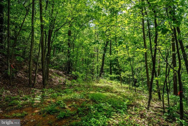 0 HELMS RD, Stanley, VA 22851