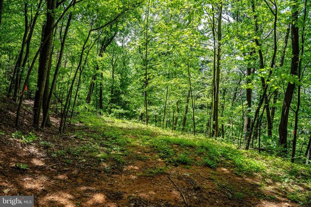 0 HELMS RD, Stanley, VA 22851