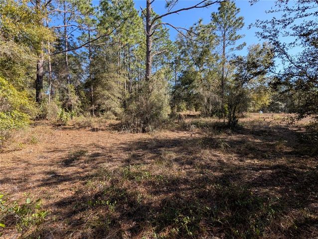 SW SOUNDVIEW DRIVE, Dunnellon, FL 34431
