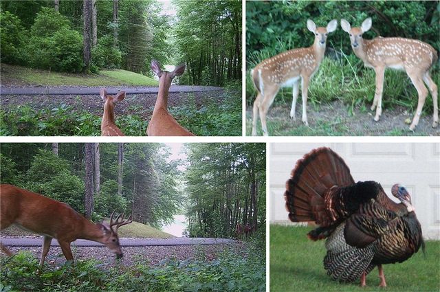 4492 County Road 32, Oxford, NY 13830