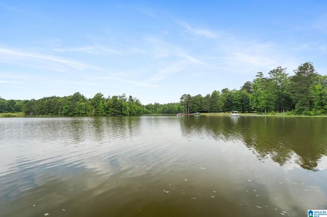 10 SEDDON POINT, Pell City, AL 35128