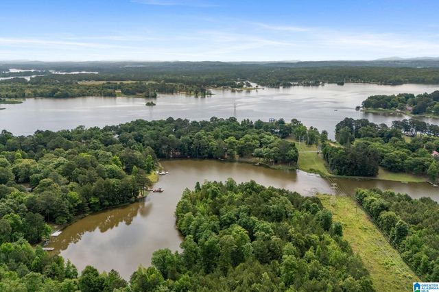 10 SEDDON POINT, Pell City, AL 35128