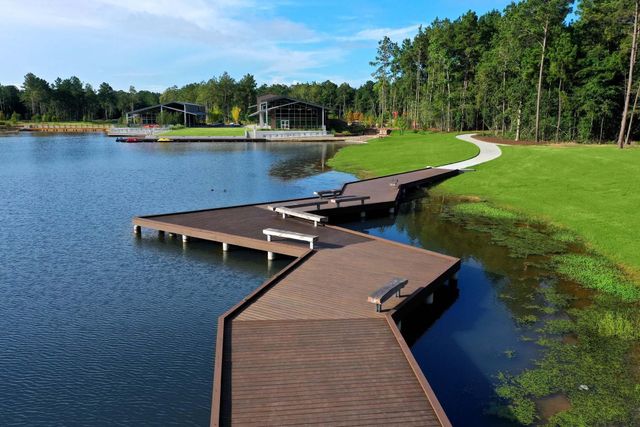 18206 Hairpin Banksia Lane, Conroe, TX 77304