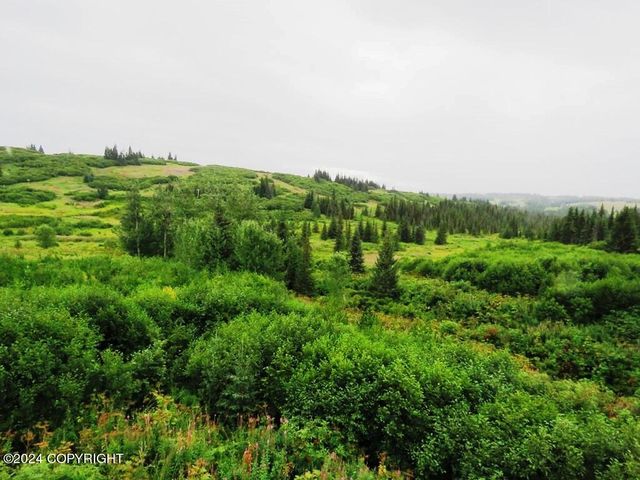 61255 Ohlson Mountain Road, Homer, AK 99603