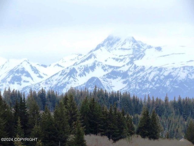 61255 Ohlson Mountain Road, Homer, AK 99603