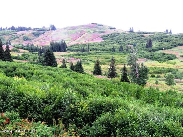 61255 Ohlson Mountain Road, Homer, AK 99603
