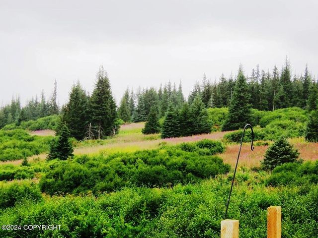 61255 Ohlson Mountain Road, Homer, AK 99603
