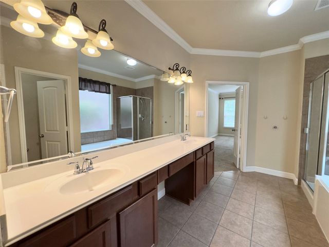 158 Black Swan Place, The Woodlands, TX 77354