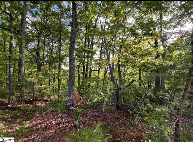 720 Callahan Mountain Road, Travelers Rest, SC 29690