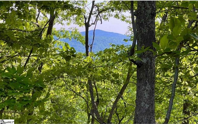 720 Callahan Mountain Road, Travelers Rest, SC 29690