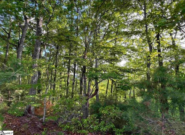 720 Callahan Mountain Road, Travelers Rest, SC 29690