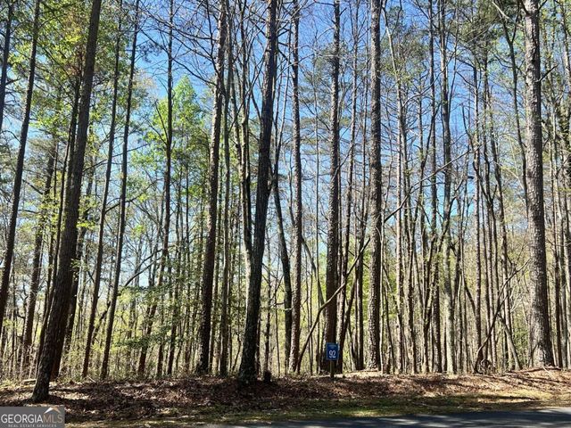 LOT 92 Doll Mountain Road, Ellijay, GA 30540