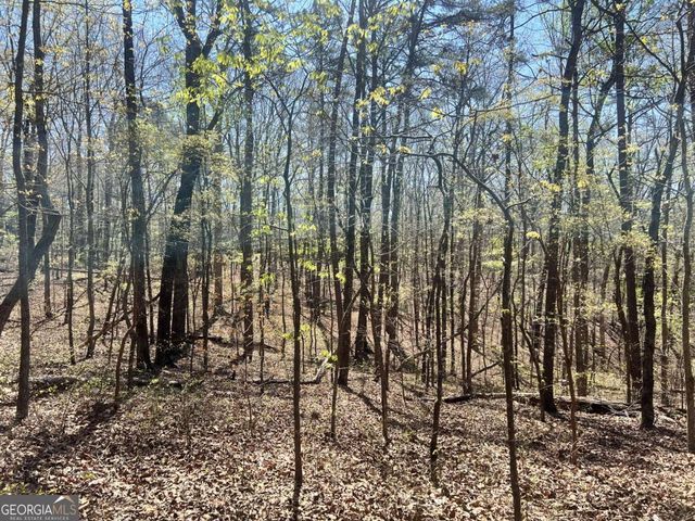 LOT 92 Doll Mountain Road, Ellijay, GA 30540