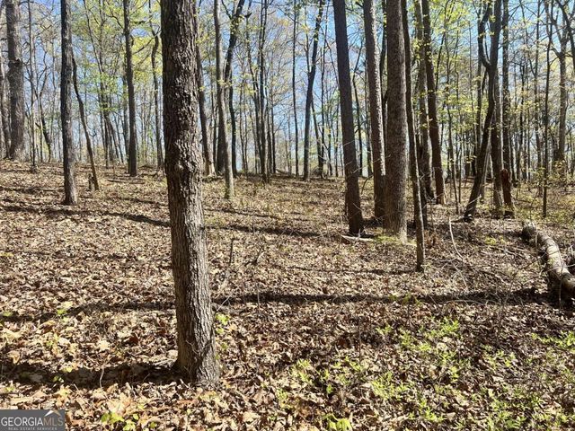 LOT 92 Doll Mountain Road, Ellijay, GA 30540