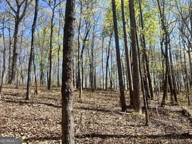 LOT 92 Doll Mountain Road, Ellijay, GA 30540