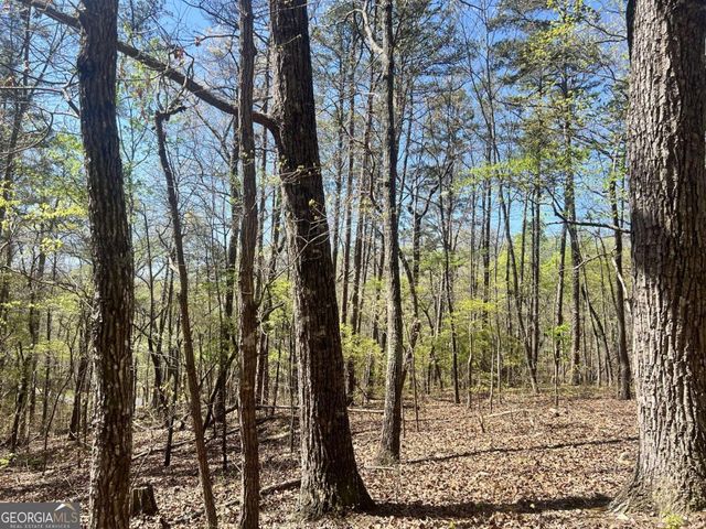 LOT 92 Doll Mountain Road, Ellijay, GA 30540