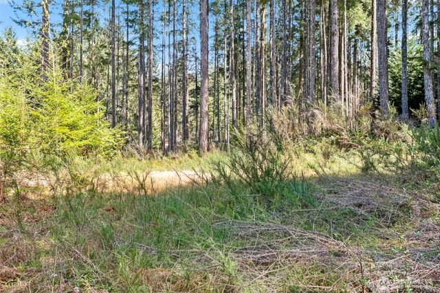 60 N Beaver Place N, Hoodsport, WA 98548