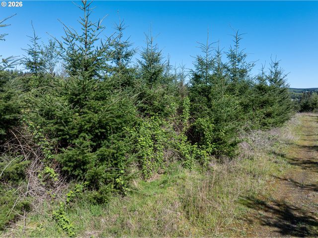 0 Whitney Rd, Rainier, OR 97048