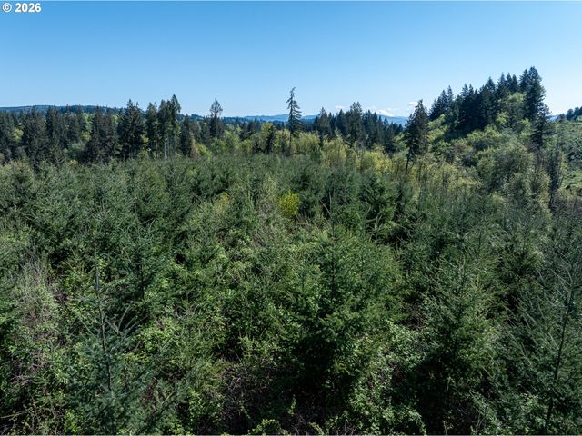 0 Whitney Rd, Rainier, OR 97048