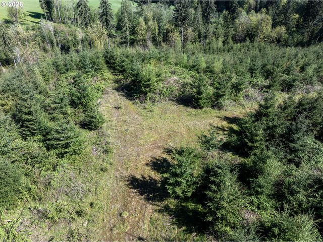 0 Whitney Rd, Rainier, OR 97048