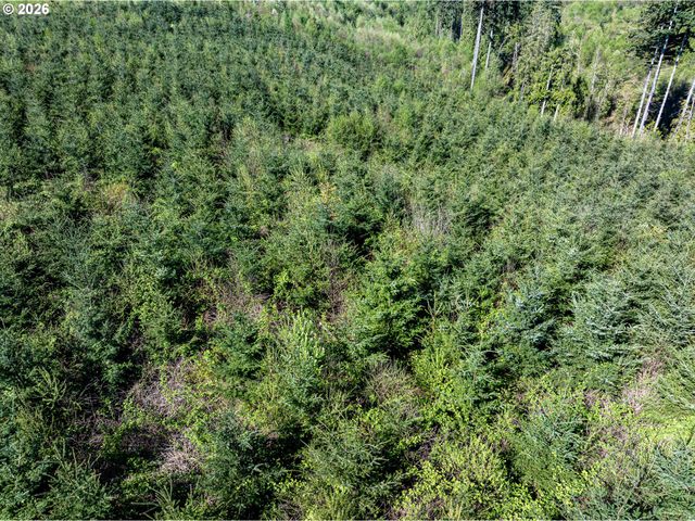 0 Whitney Rd, Rainier, OR 97048