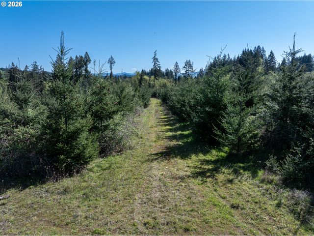 0 Whitney Rd, Rainier, OR 97048