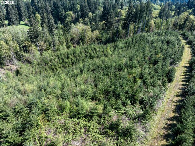0 Whitney Rd, Rainier, OR 97048
