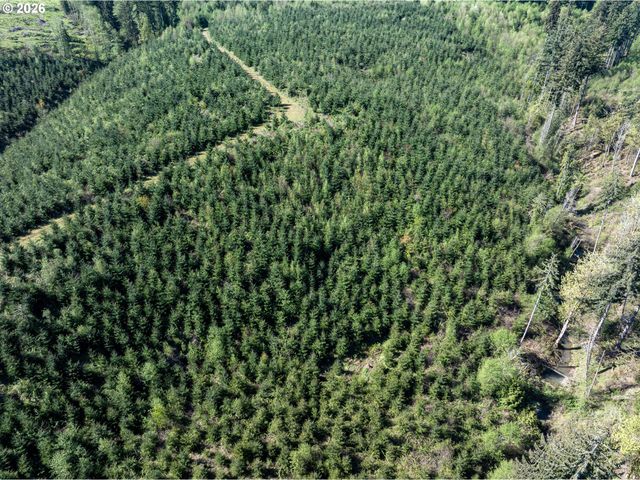 0 Whitney Rd, Rainier, OR 97048
