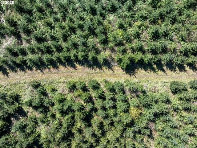 0 Whitney Rd, Rainier, OR 97048