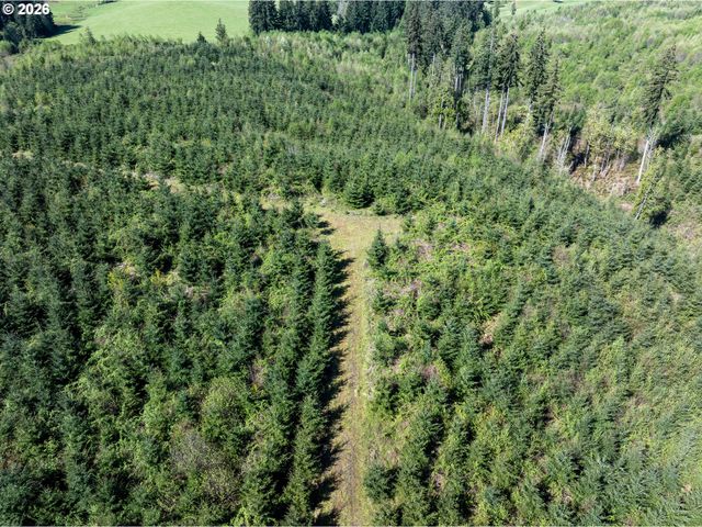 0 Whitney Rd, Rainier, OR 97048