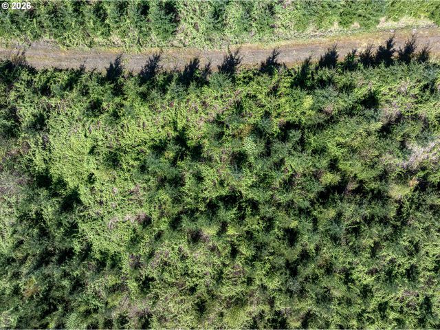 0 Whitney Rd, Rainier, OR 97048
