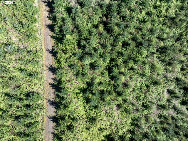 0 Whitney Rd, Rainier, OR 97048