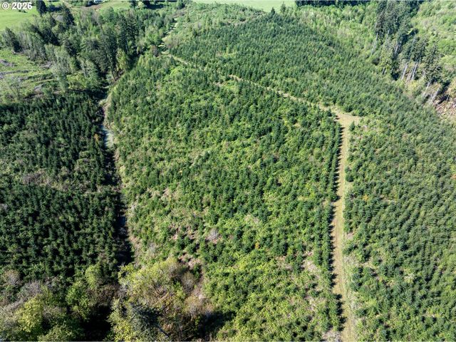 0 Whitney Rd, Rainier, OR 97048