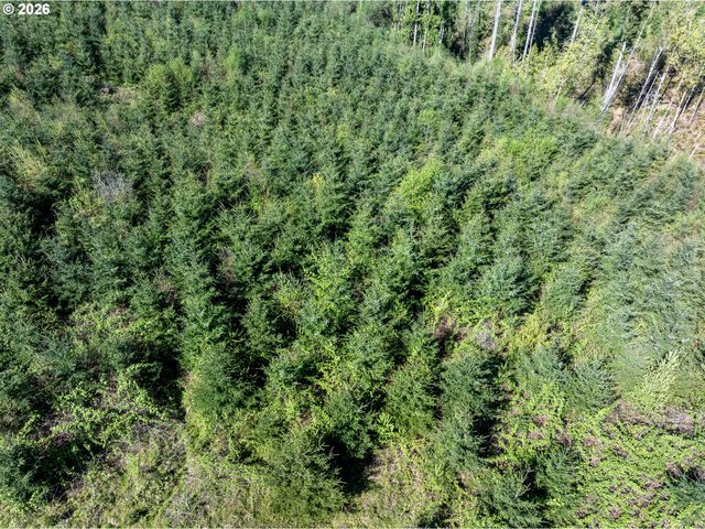0 Whitney Rd, Rainier, OR 97048