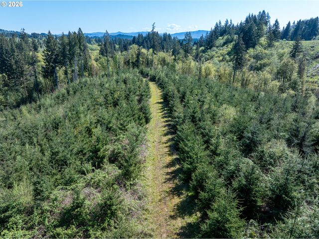 0 Whitney Rd, Rainier, OR 97048